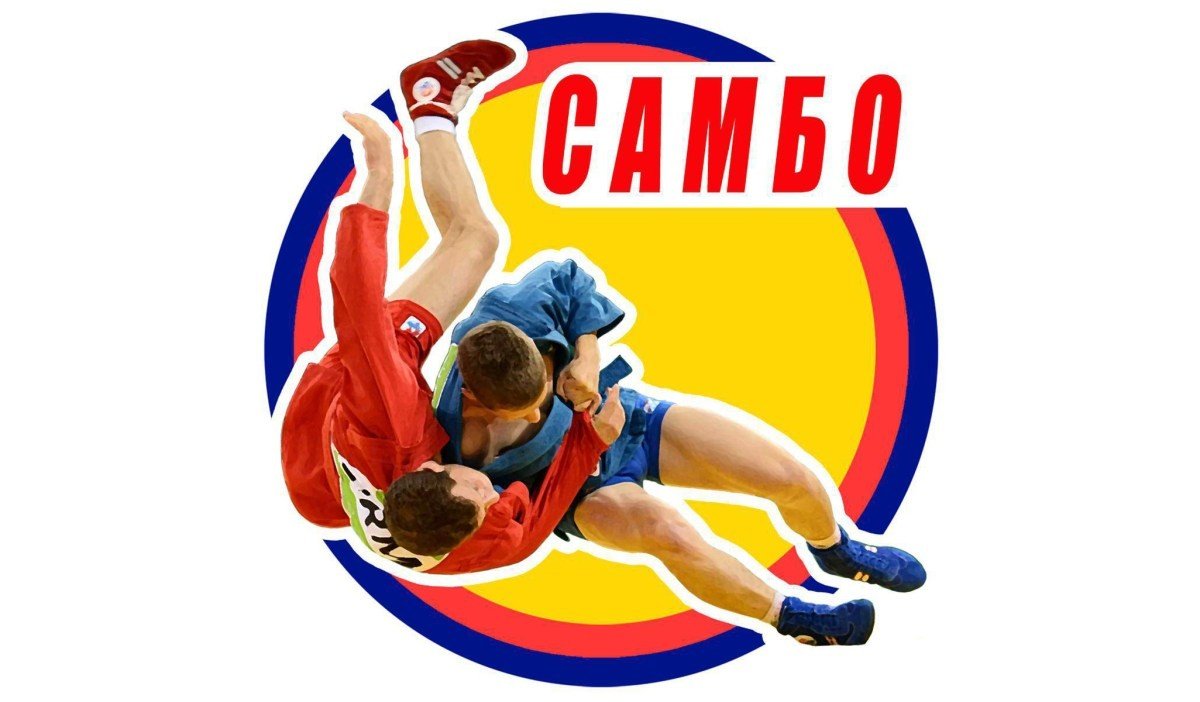 Фестиваль по самбо, посвящённый Дню защиты детей.