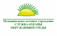 О качестве атмосферного воздуха в городе Димитровграде.