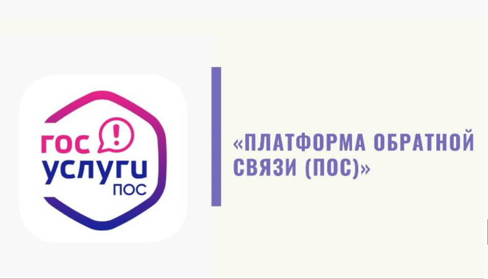 Ульяновская область стала первой в ПФО по внедрению Платформы обратной связи.