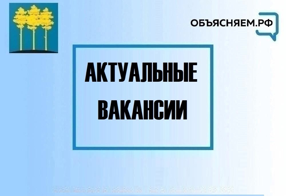 Предлагаем актуальные вакансии.