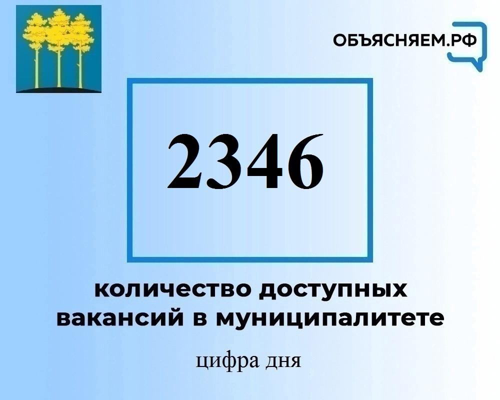 Предлагаем актуальные вакансии на в Димитровграде на 6 декабря.