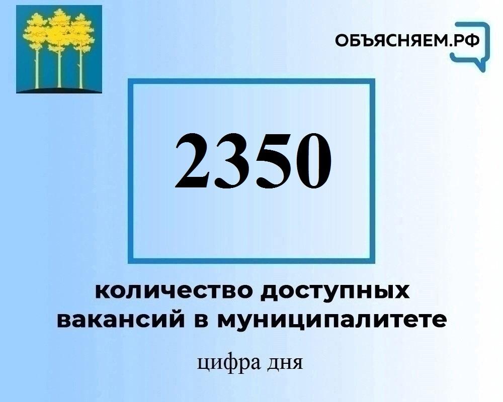 В Димитровграде много доступных вакансий, в том числе с достойной оплатой.