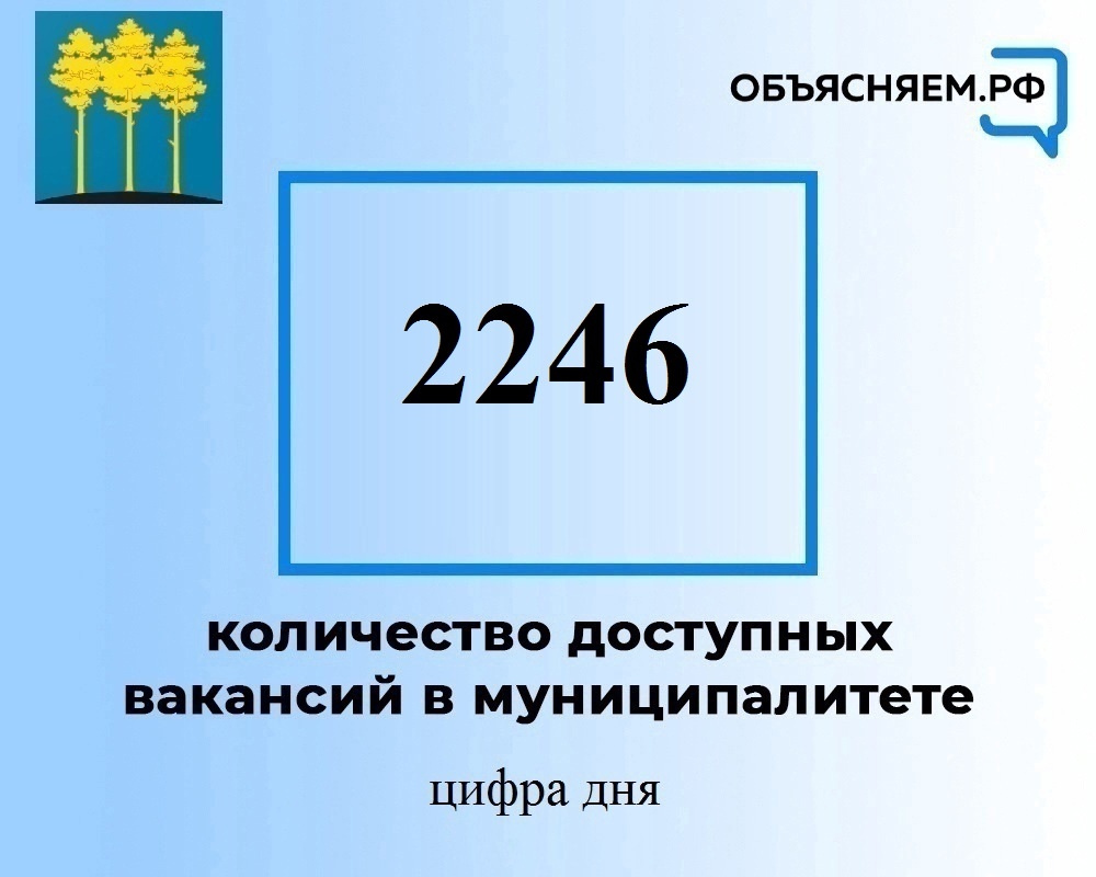 Актуальные вакансии в Димитровграде на 30 августа.