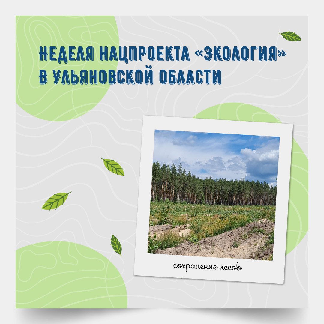 В Ульяновской области проходит неделя национального проекта «Экология».