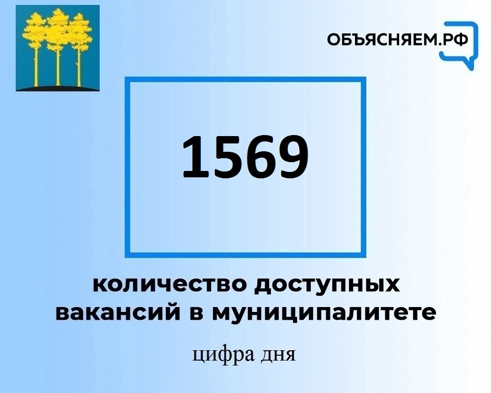 Актуальные вакансии в Димитровграде на 5 июля.
