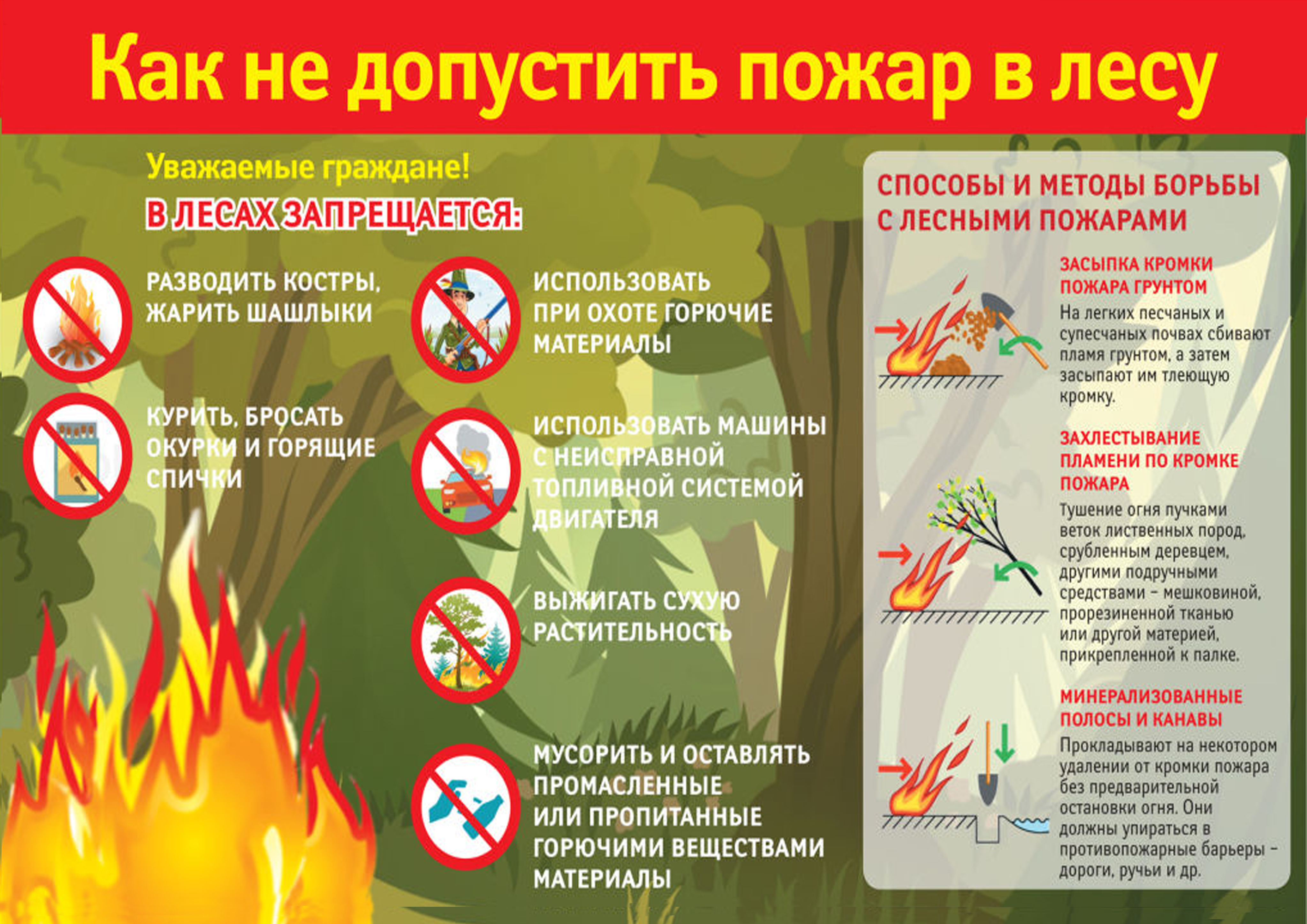 Соблюдайте меры пожарной безопасности в лесу и на дачных участках.