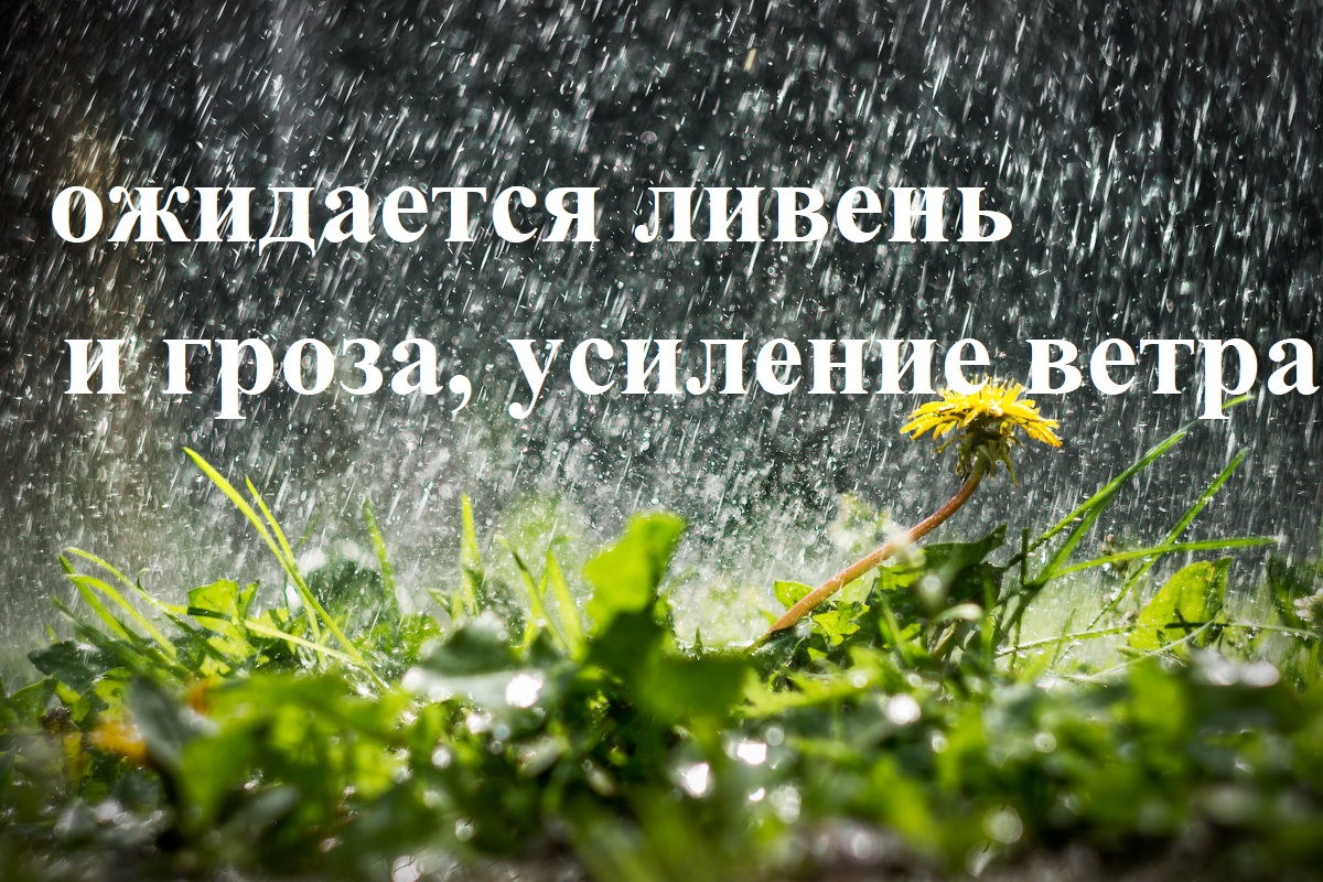 Ожидается усиление северо-западного ветра с порывами 15-20 м/с, гроза, град..