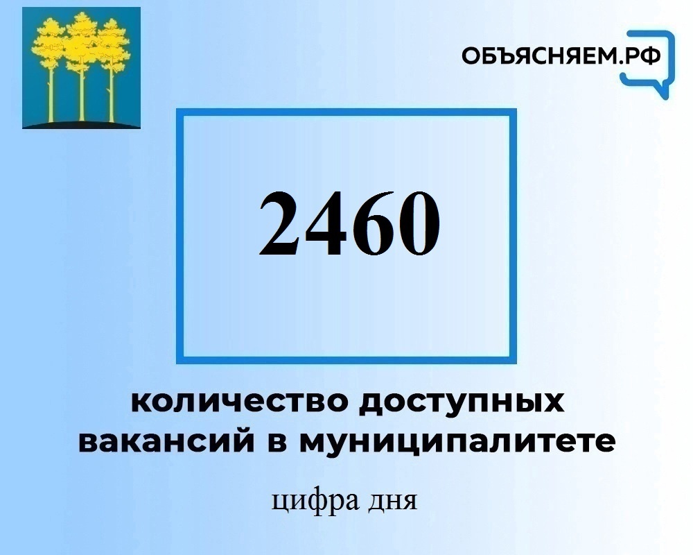 Актуальные вакансии в Димитровграде на 6 сентября.