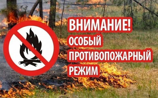 🔥О введении на территории Ульяновской области особого противопожарного режима🌲.