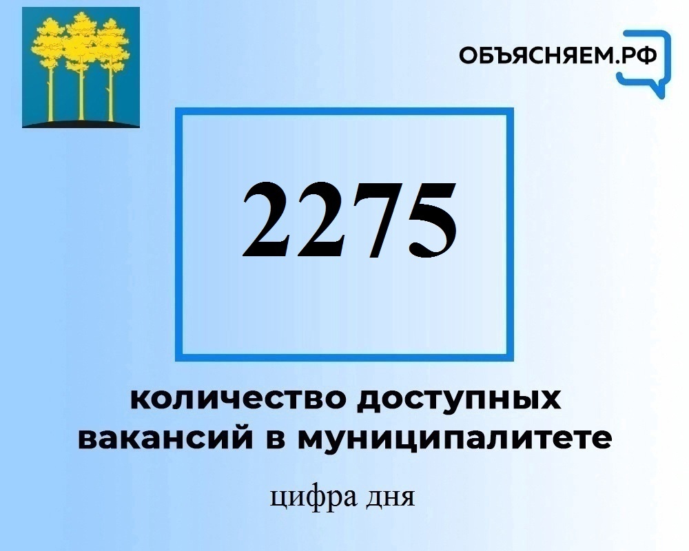 Актуальные вакансии на в Димитровграде на 2 августа.