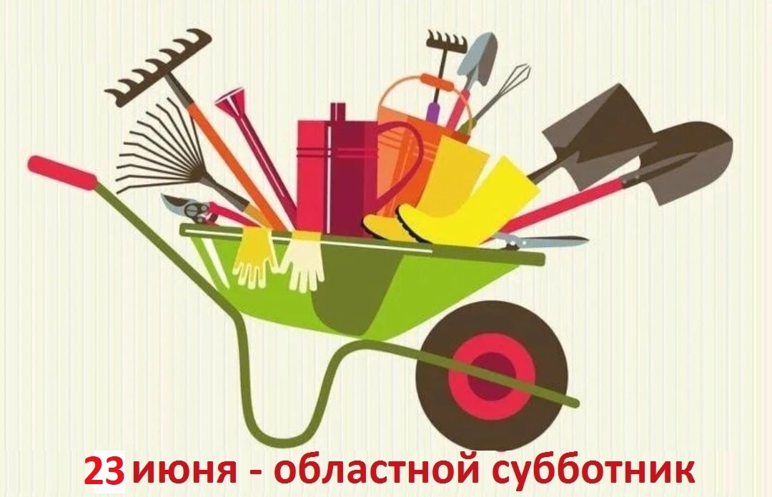 23 июня объявлен Единым днем чистоты на территории Ульяновской области, состоится областной субботник.
