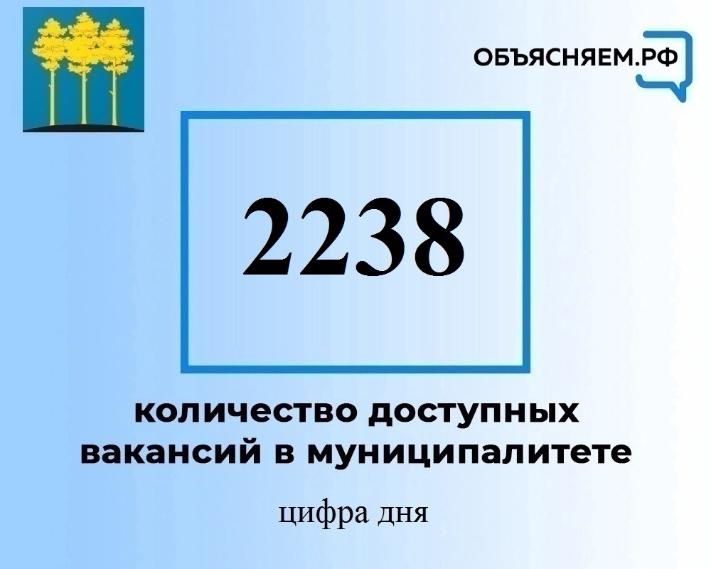 Актуальные вакансии в Димитровграде на 8 ноября.
