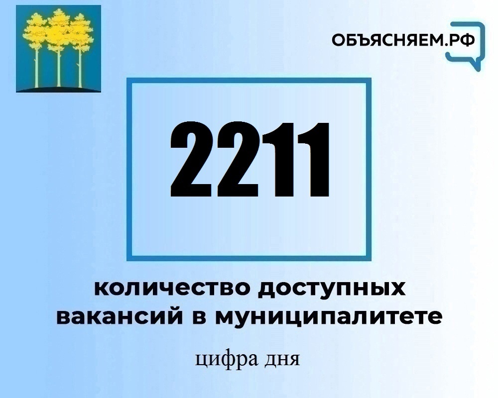 Актуальные вакансии в Димитровграде на 11 сентября.