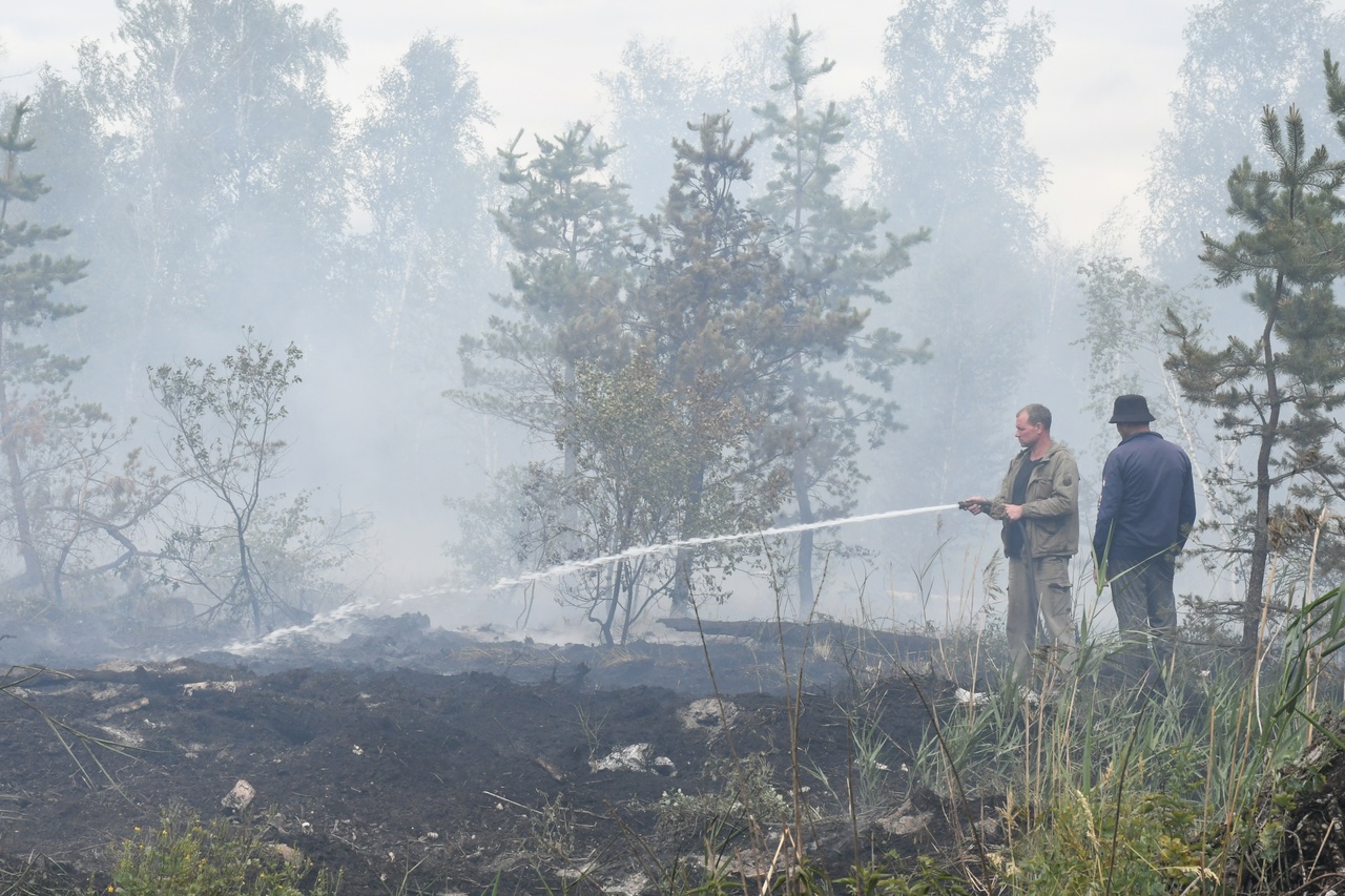 В понедельник 19 июня в 44-м квартале Мелекесского лесничества произошло возгорание торфа на площади 0,7 гектара..