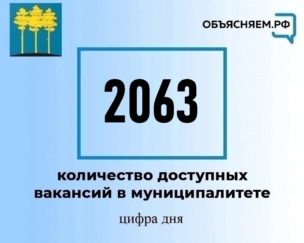 Актуальные вакансии в Димитровграде на 13 ноября.