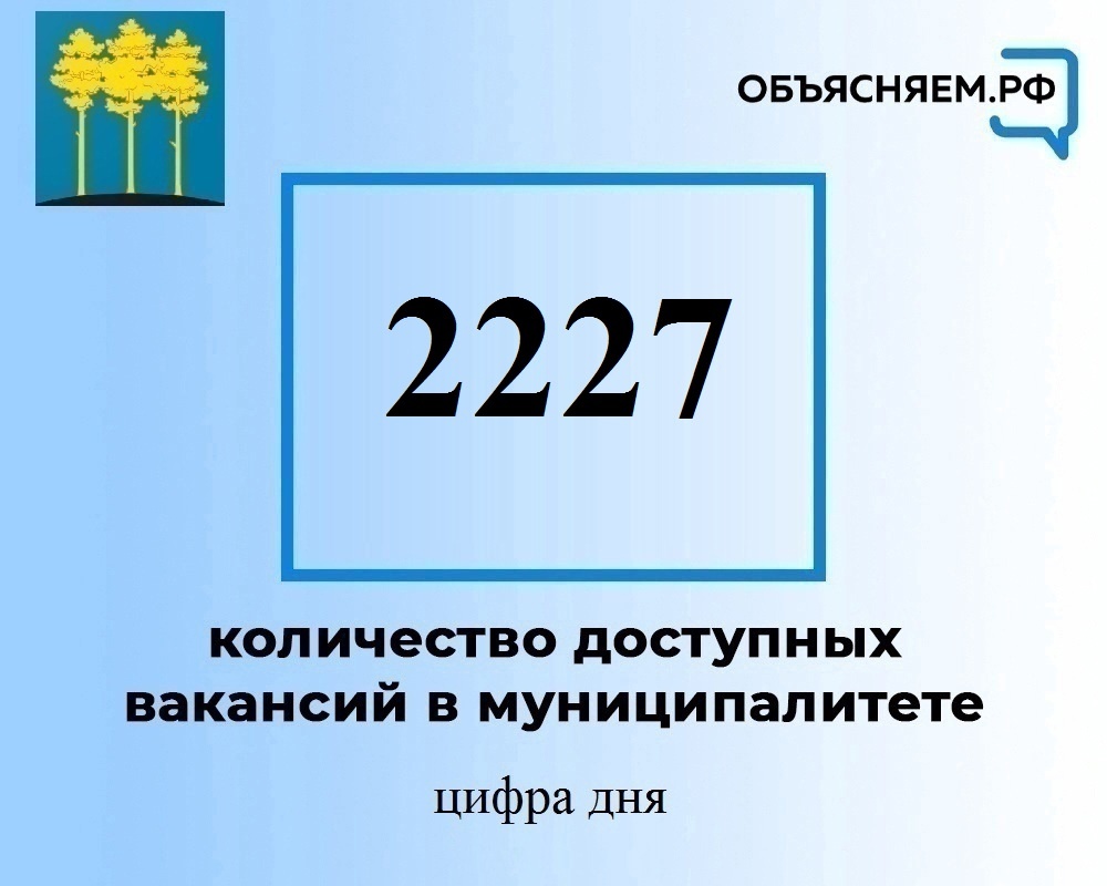 Актуальные вакансии в Димитровграде на 15 ноября.