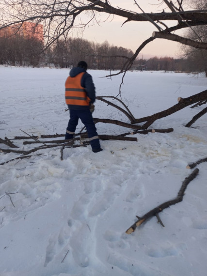 Муниципальный ЦУР: аварийное дерево в районе Верхнего пруда спилено.