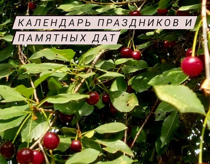 В календаре праздников и памятных дат на ближайшие дни:. В календаре праздников и памятных дат на ближайшие дни:.