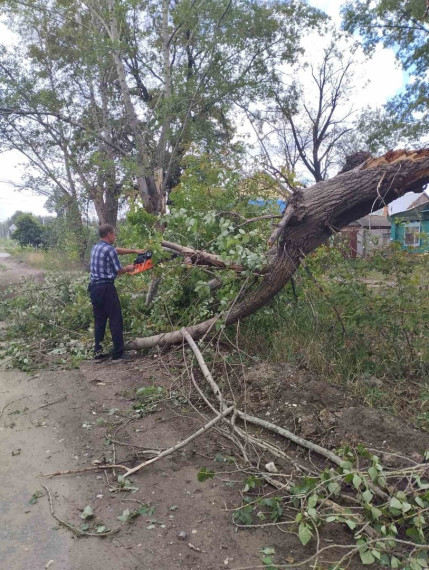 Поваленные ураганом на территории города деревья жители могут по желанию забрать для собственных хозяйственных нужд - как ещё не убранные, так и уже распиленные, но ещё не вывезенные..