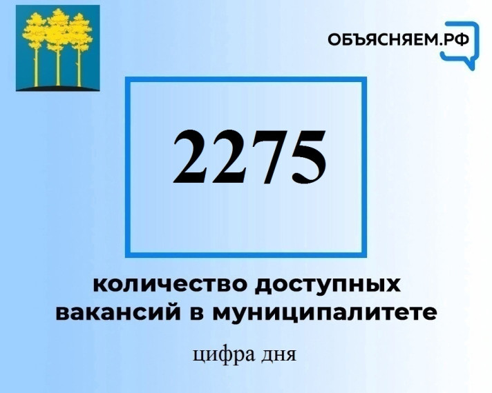 Актуальные вакансии на в Димитровграде на 2 августа. Актуальные вакансии на в Димитровграде на 2 августа.