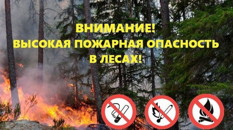 Высокая пожарная опасность в лесах. Высокая пожарная опасность в лесах.