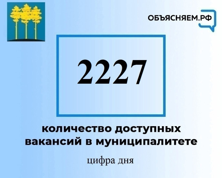 Актуальные вакансии в Димитровграде на 15 ноября. Актуальные вакансии в Димитровграде на 15 ноября.