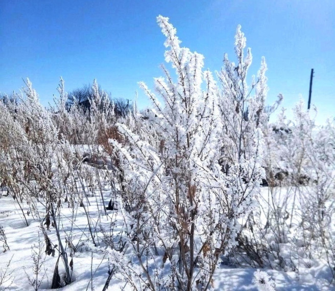 В ближайшие дни сохранится аномально холодная погода.