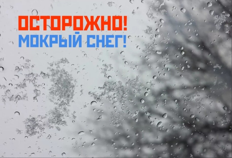 Днем 31 декабря ожидается мокрый снег, на дорогах гололедица. Днем 31 декабря ожидается мокрый снег, на дорогах гололедица.
