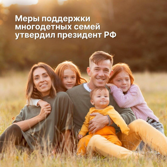 Владимир Путин поддержал введение всероссийского статуса многодетных семей. Владимир Путин поддержал введение всероссийского статуса многодетных семей.