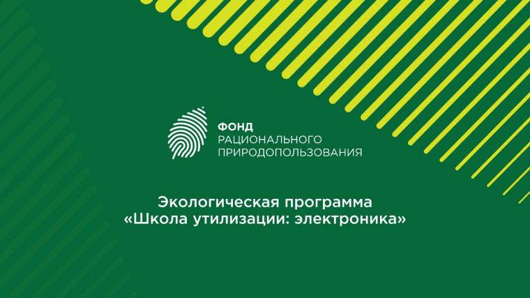 Федеральная экологическая благотворительная программа «Школа утилизации: электроника».