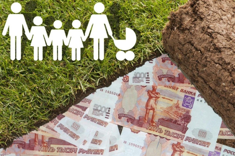 Взамен земельного участка вы можете получить денежную выплату в размере 250 000 рублей. Взамен земельного участка вы можете получить денежную выплату в размере 250 000 рублей.