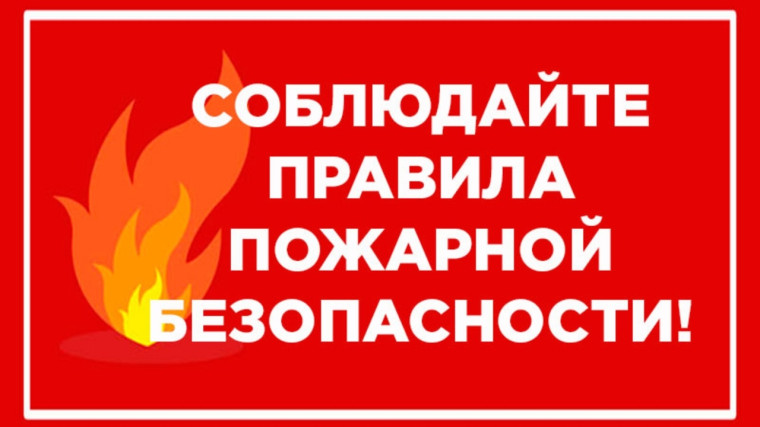 Сохраните свой дом от пожара. Сохраните свой дом от пожара.