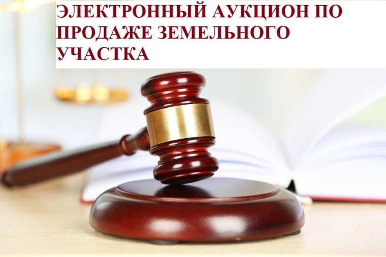 Комитет по управлению имуществом города Димитровграда (организатор торгов) сообщает о проведении электронного аукциона по продаже земельного участка. Комитет по управлению имуществом города Димитровграда (организатор торгов) сообщает о проведении электронного аукциона по продаже земельного участка.