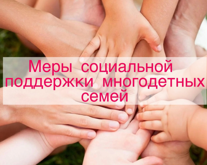 Меры социальной поддержки многодетных семей. Меры социальной поддержки многодетных семей.