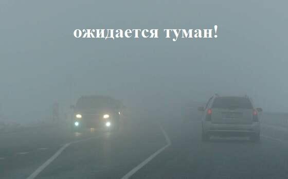 Ожидается туман. Ожидается туман.