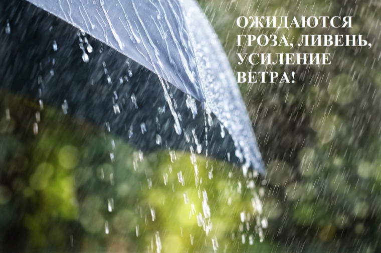 Ожидается гроза⚡☔.