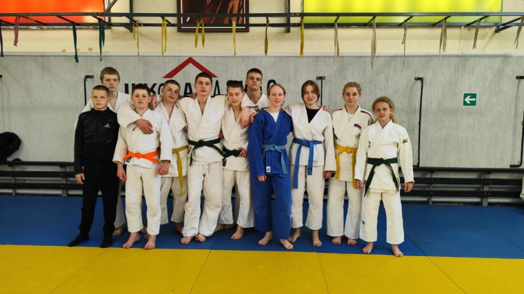 Чемпионат и Первенство области по дзюдо. Чемпионат и Первенство области по дзюдо.