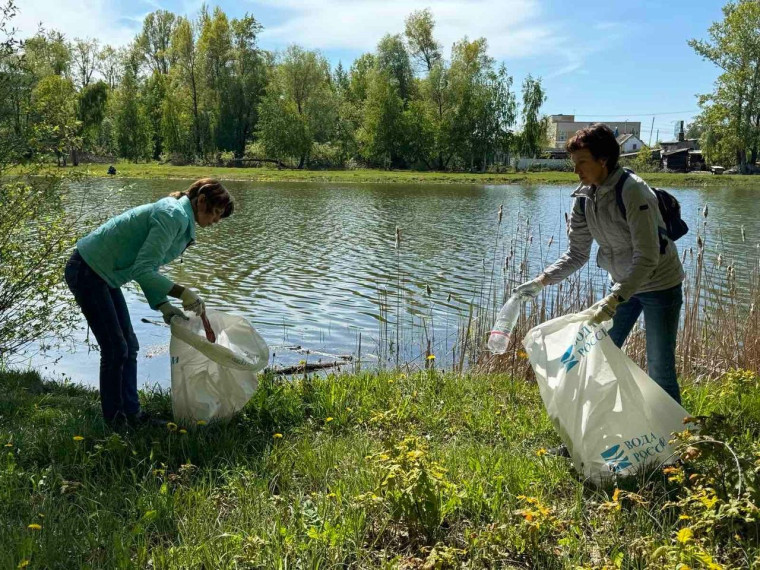 Организована уборка побережья водоёма в «Экологическом парке «Дубовая роща»..