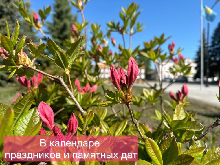 Отмечаем праздники и памятные даты. Отмечаем праздники и памятные даты.