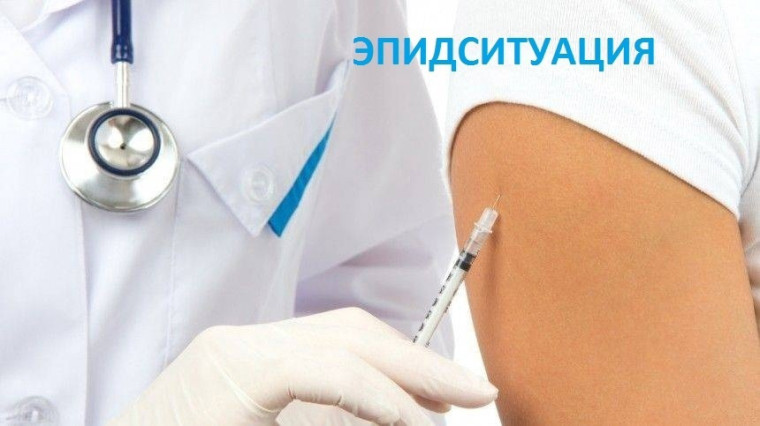 Об эпидситуации в Димитровграде на 20 февраля. Об эпидситуации в Димитровграде на 20 февраля.