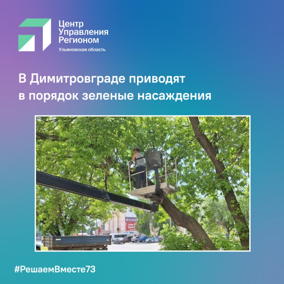 Спил аварийных деревьев. Спил аварийных деревьев.