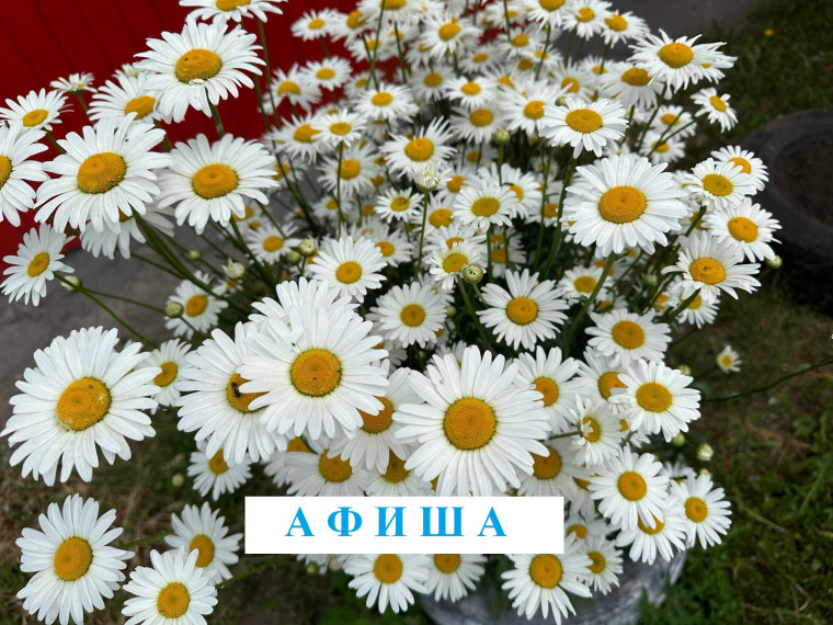 Афиша городских культурных и спортивных мероприятий с 18 по 23 июня🍀. Афиша городских культурных и спортивных мероприятий с 18 по 23 июня🍀.