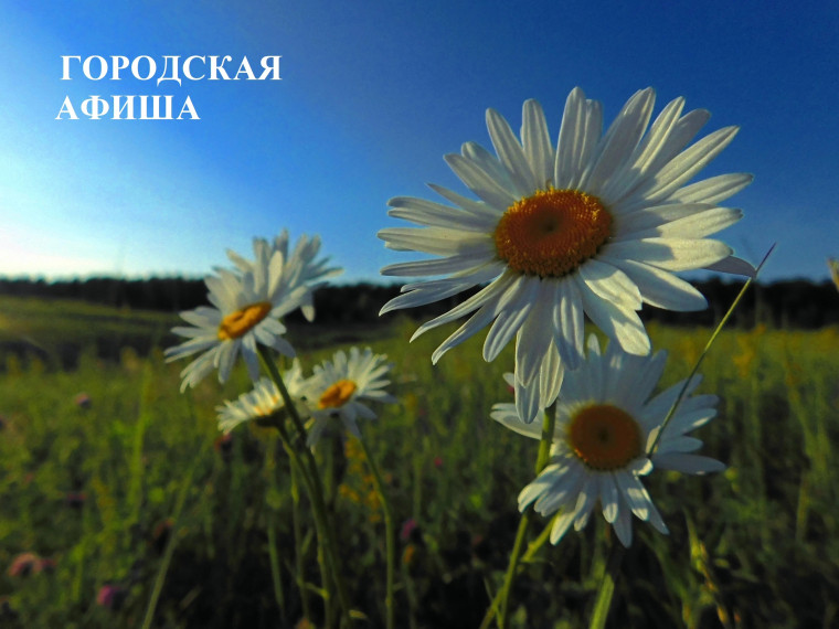 Городская афиша. Городская афиша.