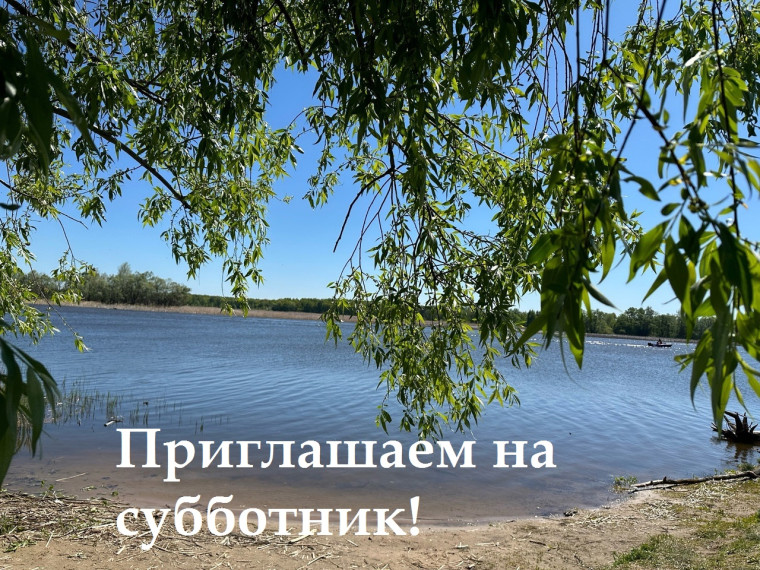 В субботу 6 июля пройдет общегородской субботник по очистке побережья реки Большой Черемшан в районе моста Гау. В субботу 6 июля пройдет общегородской субботник по очистке побережья реки Большой Черемшан в районе моста Гау.