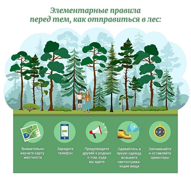 Соблюдайте правила поведения в лесу в летний период. Соблюдайте правила поведения в лесу в летний период.