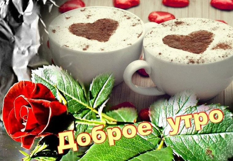 Доброе утро. Доброе утро.