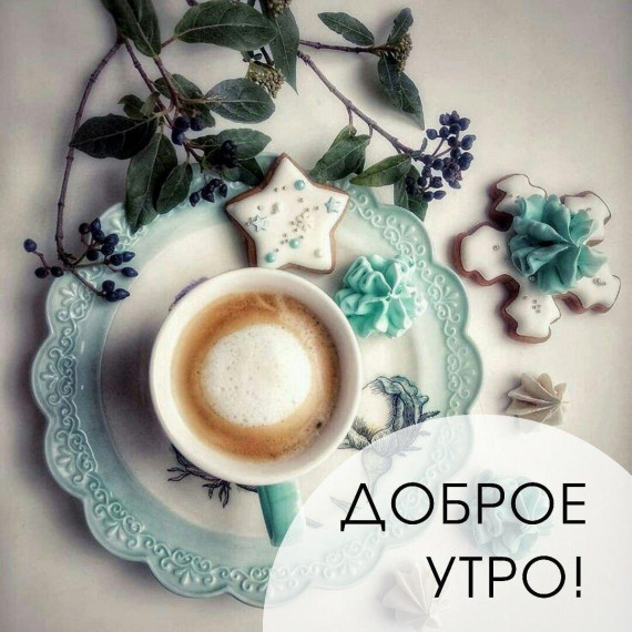Доброе утро. Доброе утро.