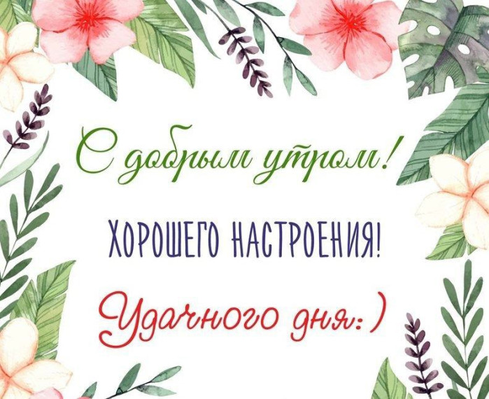 Доброе утро. Доброе утро.