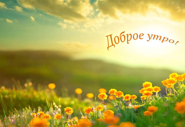 Доброе утро. Доброе утро.
