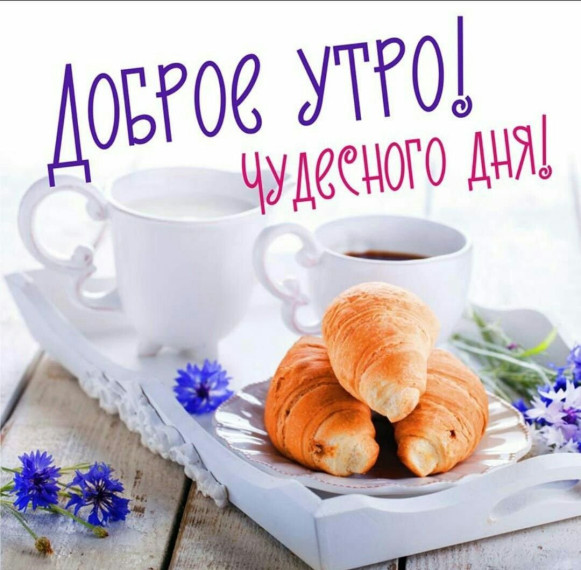 Доброе утро. Доброе утро.